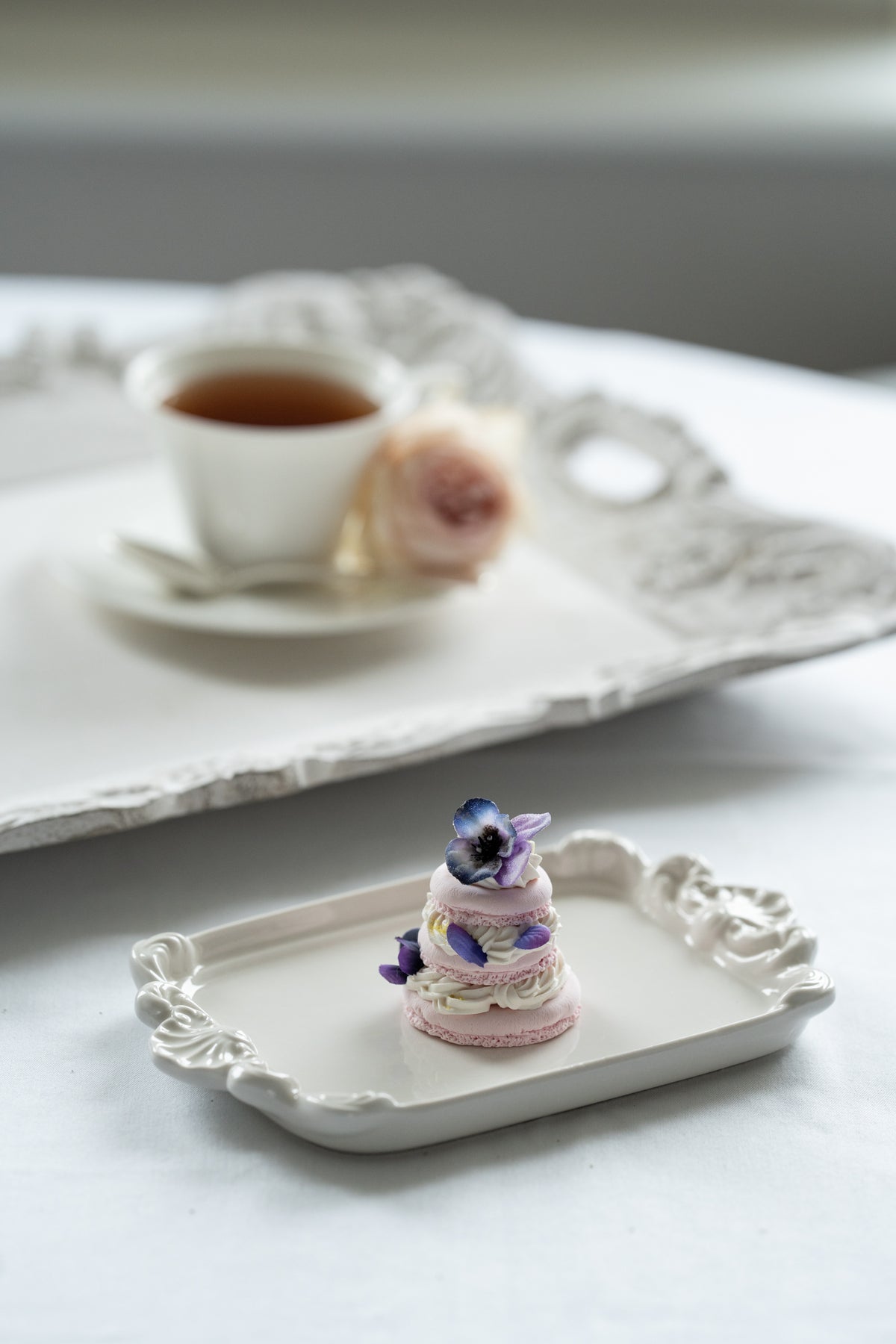 DSC00696_1200x.jpg?v=1709559979