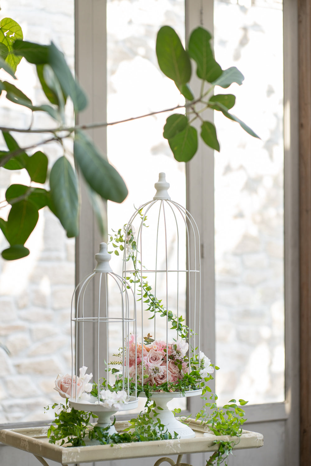 鳥かご – antoinette00