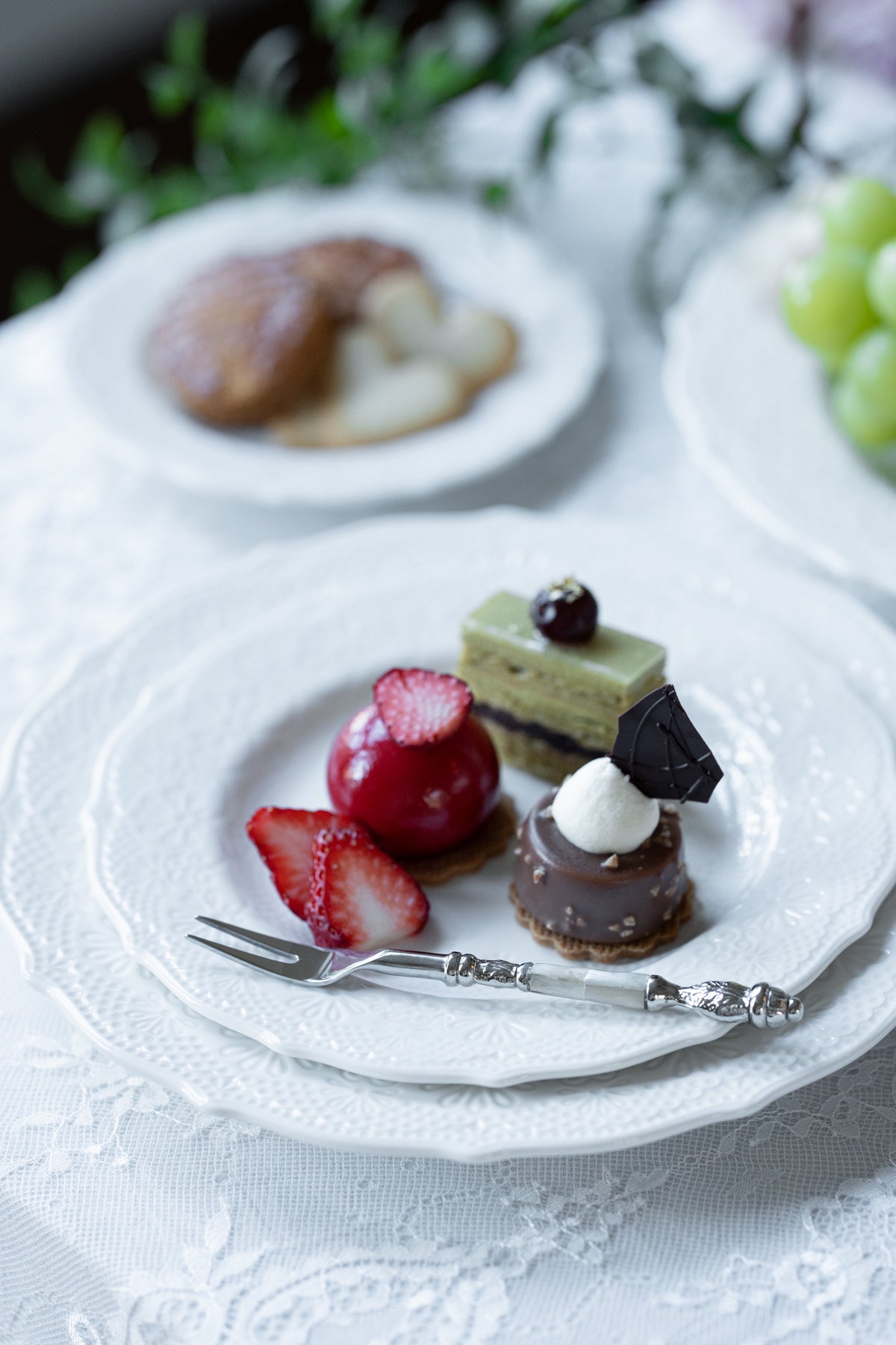 DSC08600_1200x.jpg?v=1689666326